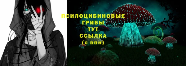 ПСИЛОЦИБИНОВЫЕ ГРИБЫ Михайлов