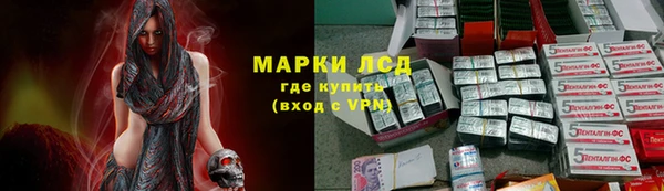 ПСИЛОЦИБИНОВЫЕ ГРИБЫ Михайлов