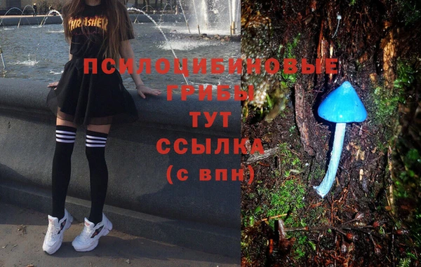 ГАЛЛЮЦИНОГЕННЫЕ ГРИБЫ Михайловка