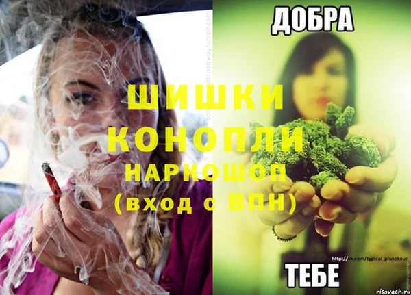 мяу мяу мука Михайловск