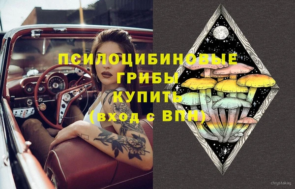 мяу мяу мука Михайловск