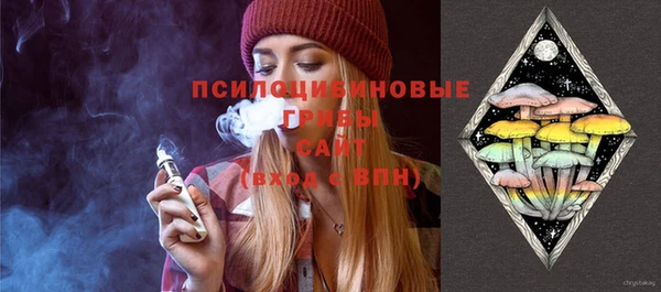 ГАЛЛЮЦИНОГЕННЫЕ ГРИБЫ Михайловка
