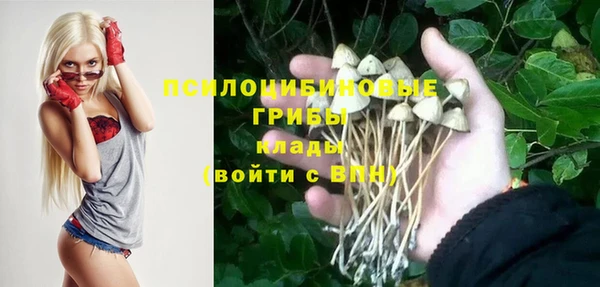 ГАЛЛЮЦИНОГЕННЫЕ ГРИБЫ Михайловка