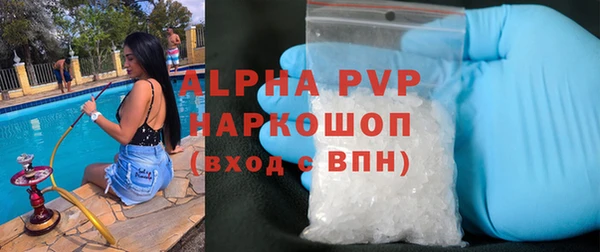 ПСИЛОЦИБИНОВЫЕ ГРИБЫ Михайлов