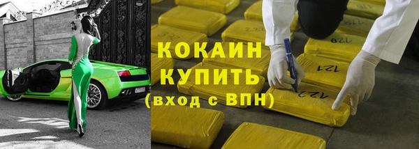 ПСИЛОЦИБИНОВЫЕ ГРИБЫ Михайлов