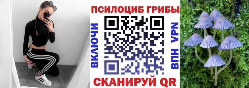нарко площадка телеграм  блэк спрут зеркало  Шарья  Галлюциногенные грибы MAGIC MUSHROOMS 