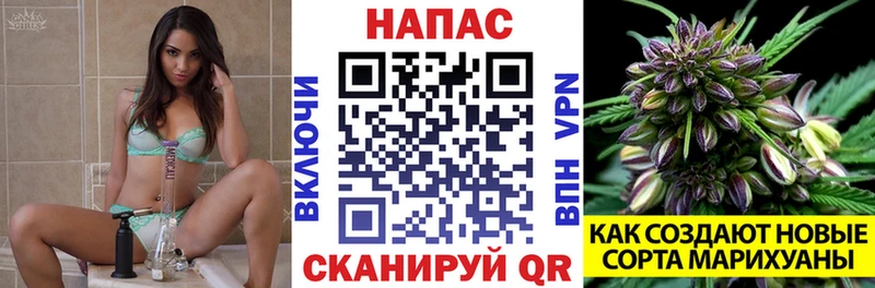 где можно купить наркотик  Шарья  Конопля индика 